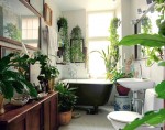 Trang trí phòng tắm với cây xanh