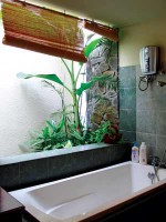 Phong cách Tropical dành cho phòng tắm